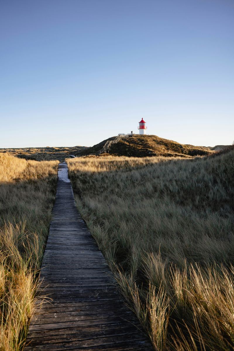 Een houten pad door de duinen leidt naar een rood-witte vuurtoren.